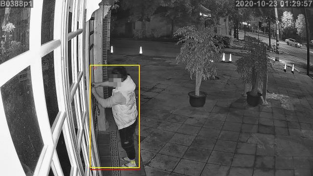 AI智能視頻聯網報警系統 AI智能視頻聯網報警系統